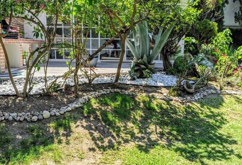 هتل Estancia Boutique O