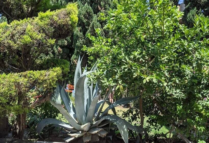 هتل Estancia Boutique O