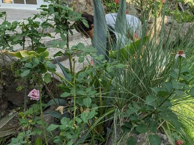 هتل Estancia Boutique O