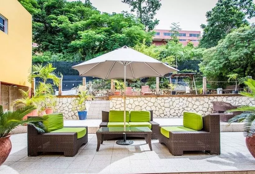 酒店 Altamont West