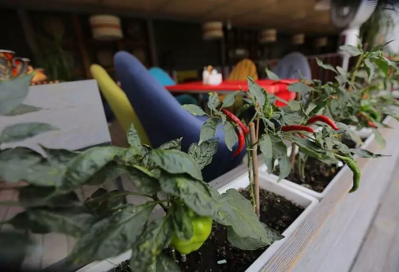 Hotel Atlantic Garden Resort