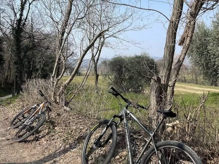 Резиденция Barchi Resort Apartments & Suites