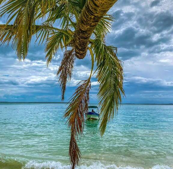 مبيت وإفطار Room Isla Colón