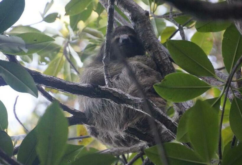 مبيت وإفطار Room Isla Colón