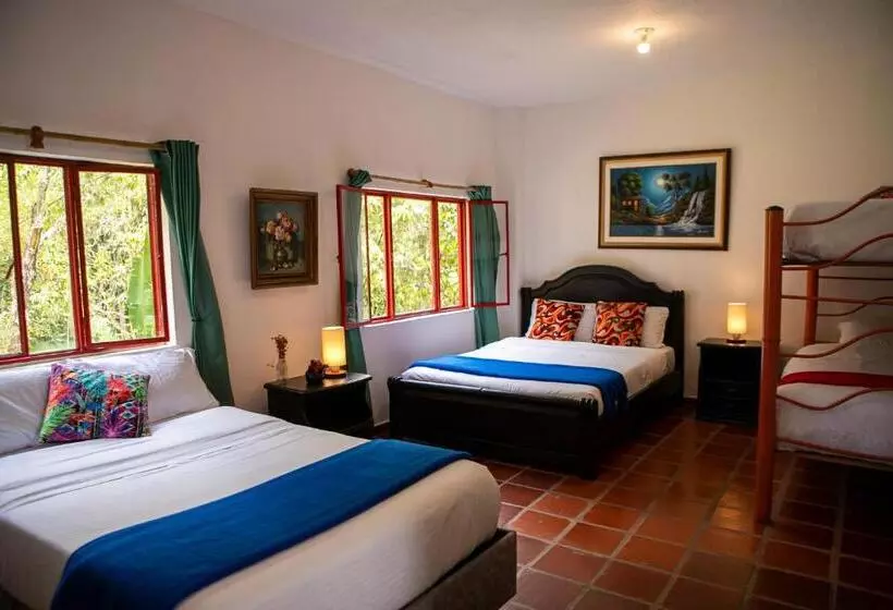 Ecohotel Monteverde
