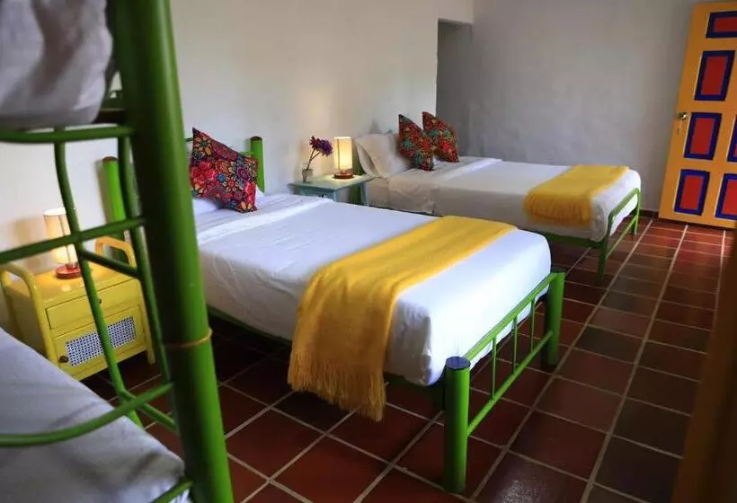 Ecohotel Monteverde