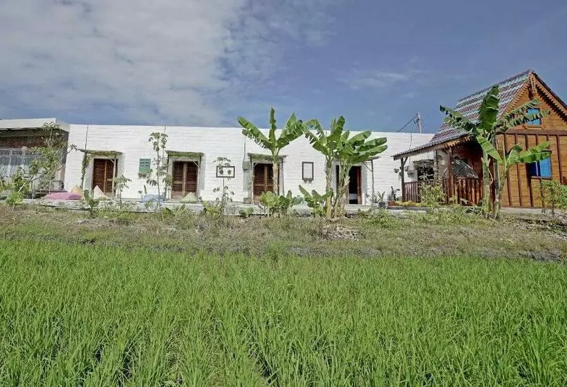 ホテル Oyo 90855 Teras Keong Canggu