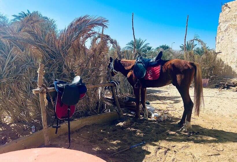 هتل Aghurmi Siwa Ecolodge & Salt Cave