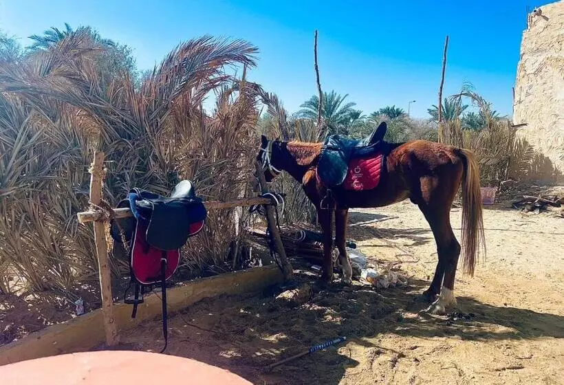 هتل Aghurmi Siwa Ecolodge & Salt Cave