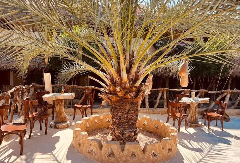 هتل Aghurmi Siwa Ecolodge & Salt Cave