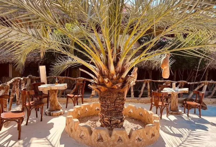هتل Aghurmi Siwa Ecolodge & Salt Cave