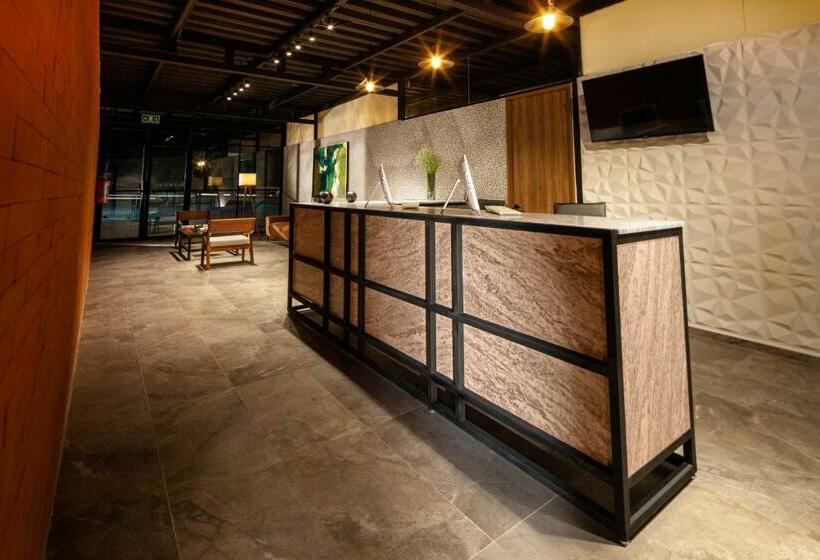 ホテル Brök San Juan Del Río