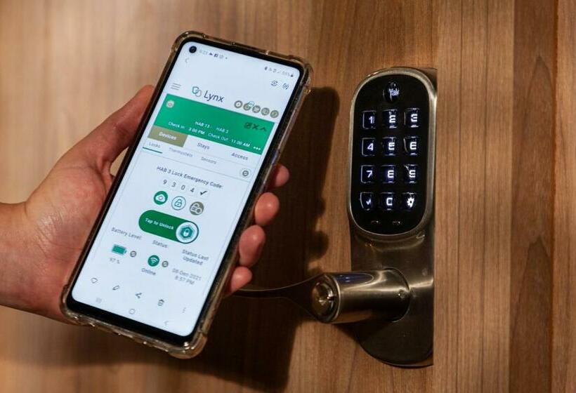 ホテル Brök San Juan Del Río