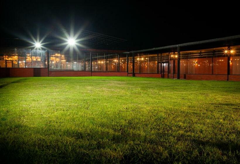 ホテル Brök San Juan Del Río