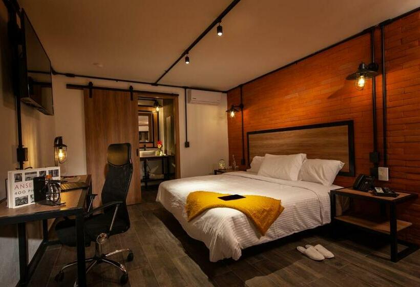 ホテル Brök San Juan Del Río