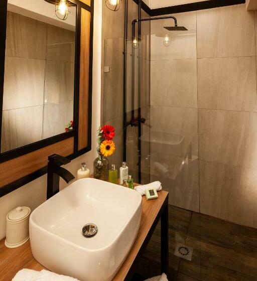 ホテル Brök San Juan Del Río