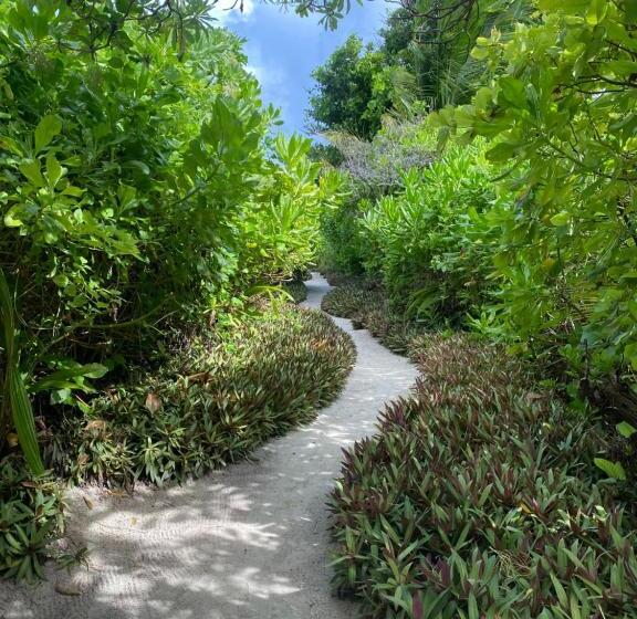 هتل Chillax Thoddoo