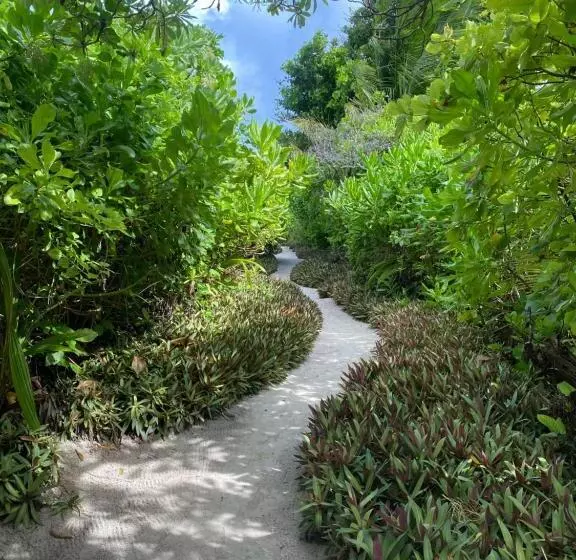 هتل Chillax Thoddoo