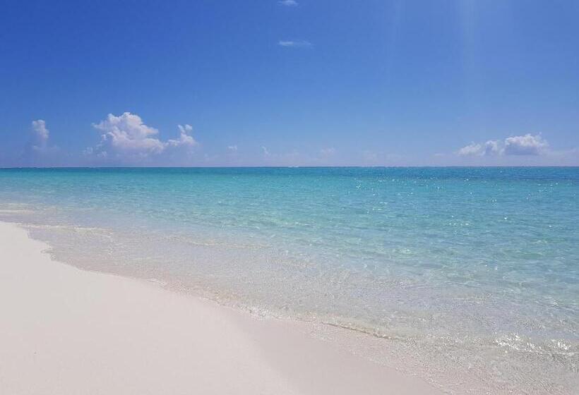 هتل Chillax Thoddoo