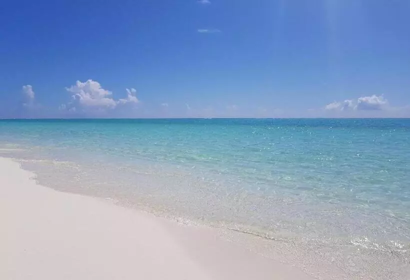 هتل Chillax Thoddoo