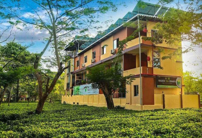 Hotel Tusker Tea County