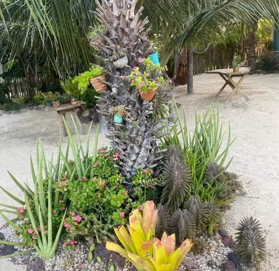 ホテル Vilarejo Macapá Chalés