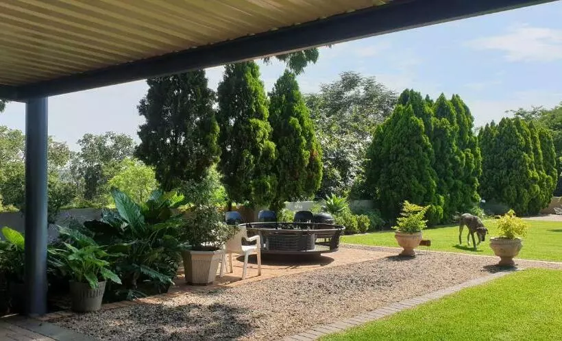 Bed and Breakfast House Olive