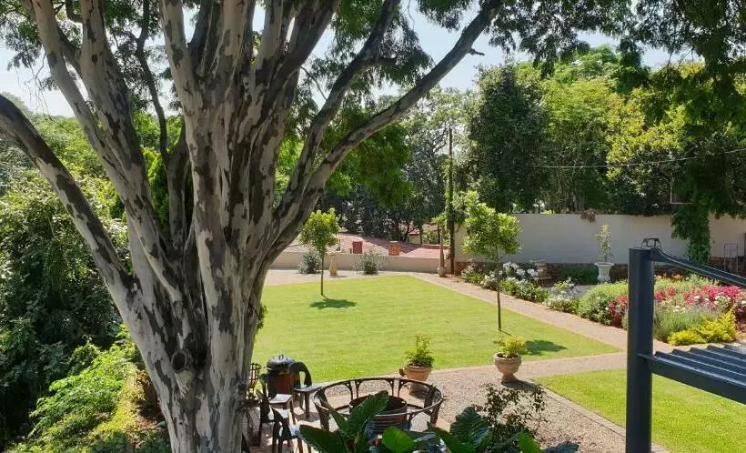 Bed and Breakfast House Olive