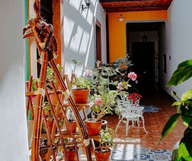 Gran Alcázar Hotel Boutique