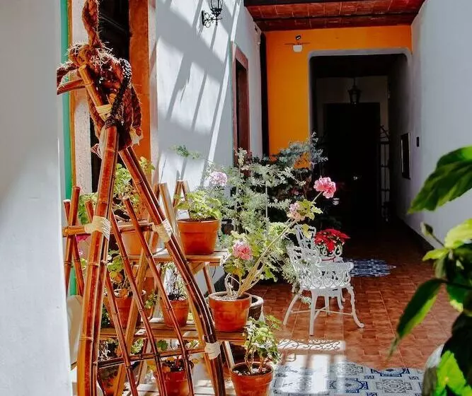 Gran Alcázar Hotel Boutique