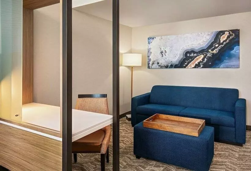 Hotelli Springhill Suites By Marriott Boston Logan Airport Revere Beach