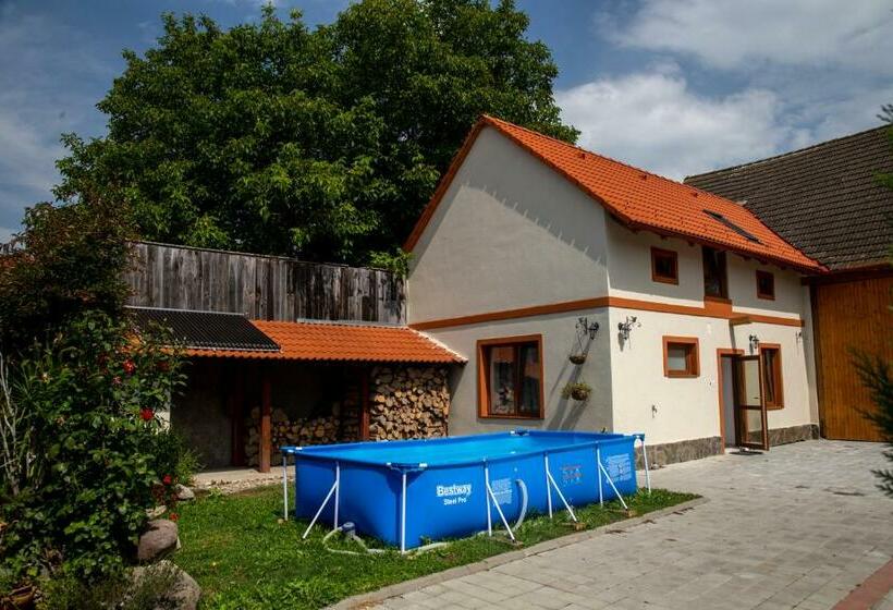 פנסיון Otto S Guesthouse