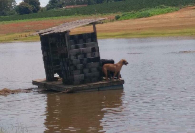 膳宿费 Pesqueiro Rancho Feliz