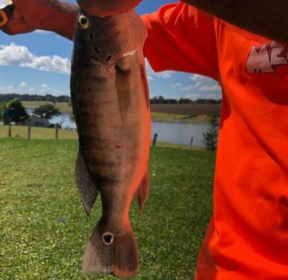 膳宿费 Pesqueiro Rancho Feliz