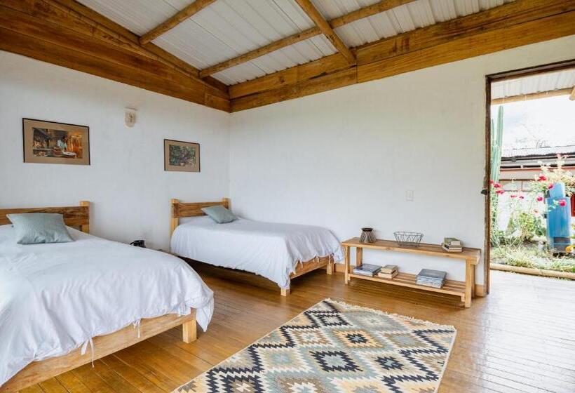 Hotel El Fenix Coffee