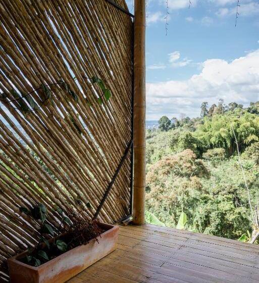 Hotel El Fenix Coffee