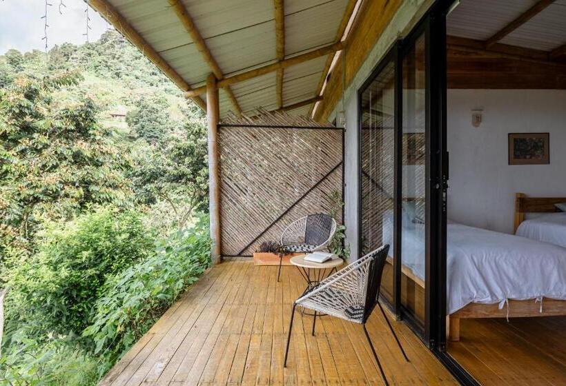 Hotel El Fenix Coffee