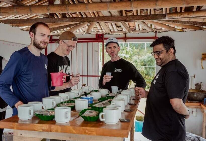 Hotel El Fenix Coffee