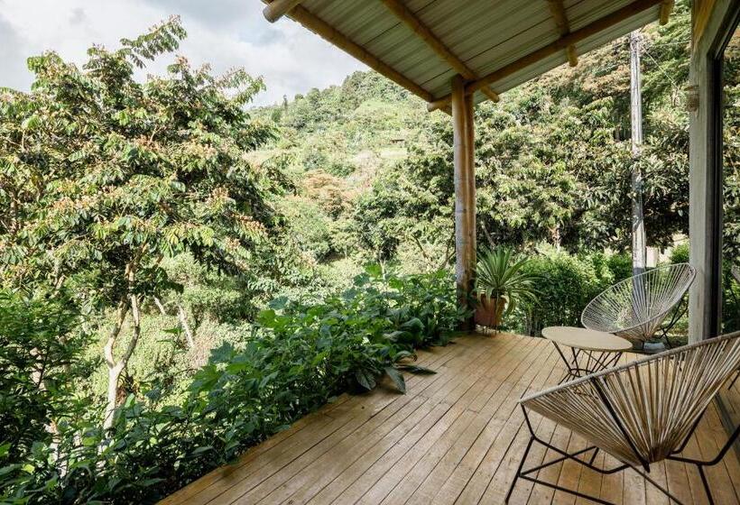 Hotel El Fenix Coffee