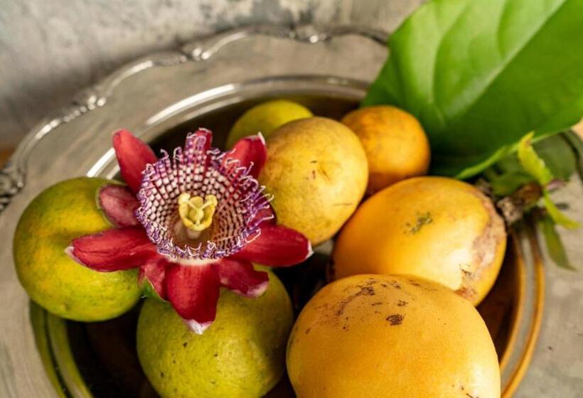 Hotel El Fenix Coffee