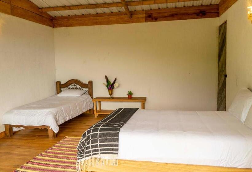 Hotel El Fenix Coffee