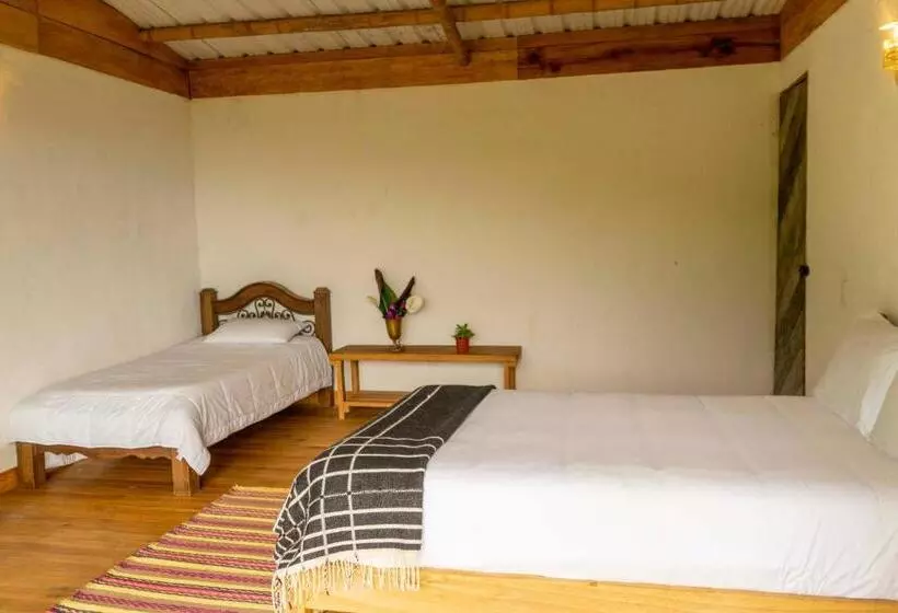 ホテル El Fenix Coffee