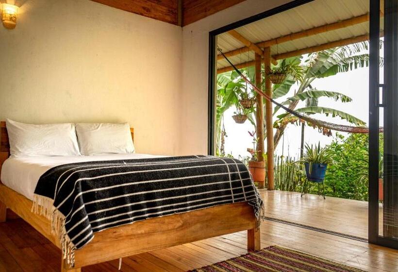 Hotel El Fenix Coffee