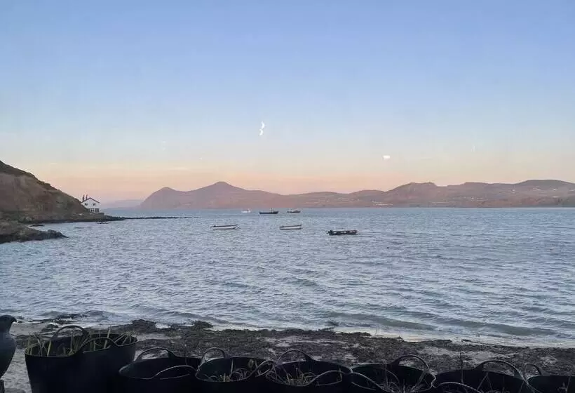 Aamiaismajoitus (B&B) Bryn Noddfa