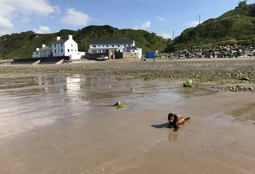 Aamiaismajoitus (B&B) Bryn Noddfa