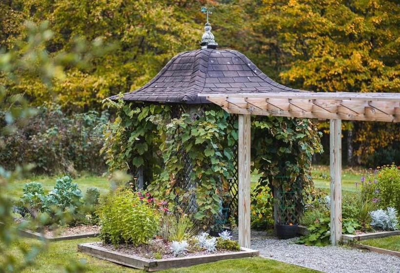 הוסטל The Village Inn