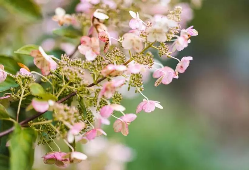 Retkeilymaja The Village Inn