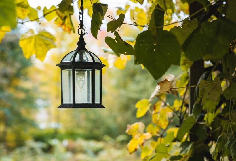 הוסטל The Village Inn