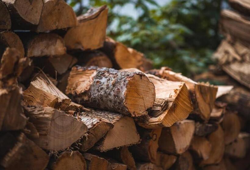 הוסטל The Village Inn