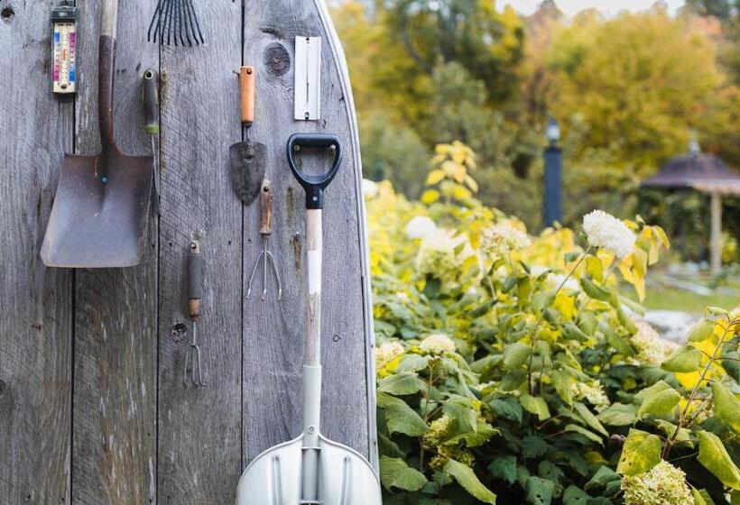 הוסטל The Village Inn